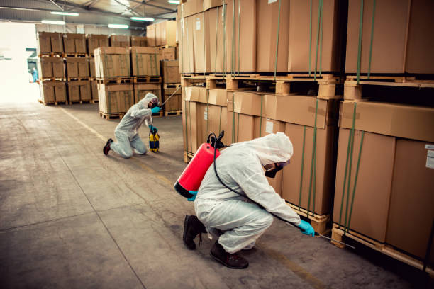 Best Affordable Pest Control Services  in Galesburg, IL