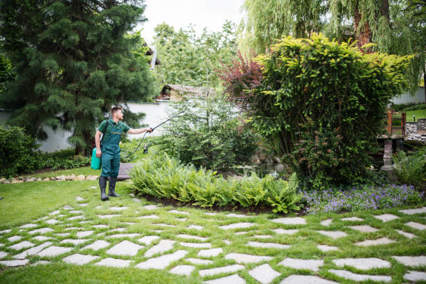 Best Ant Control Services  in Galesburg, IL
