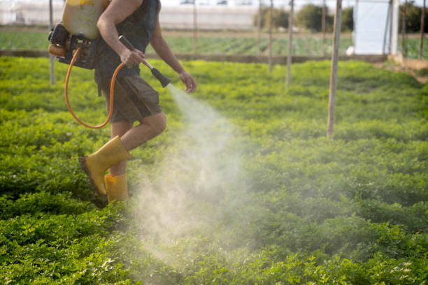 Best Best Pest Control Companies  in Galesburg, IL