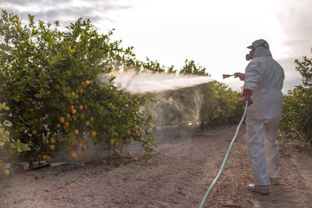 Best Local Pest Control Services  in Galesburg, IL