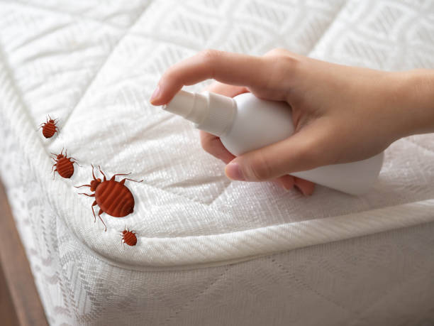 Best Residential Pest Control  in Galesburg, IL