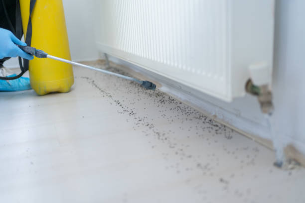 Best Wildlife Control Services  in Galesburg, IL