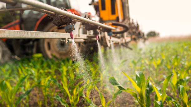 Best Commercial Pest Control Services  in Galesburg, IL